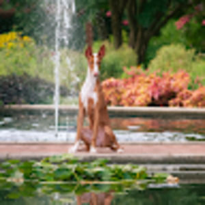 Meet your Posher, Mackenzie